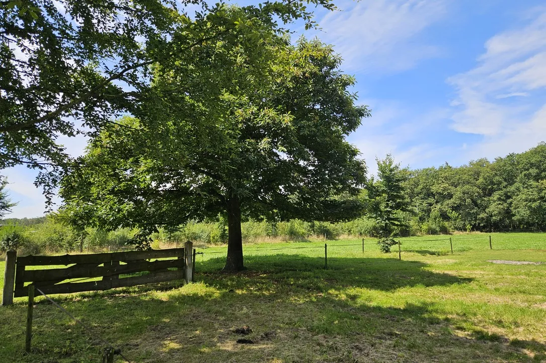 Landschappelijke inpassing in Ven-Zelderheide