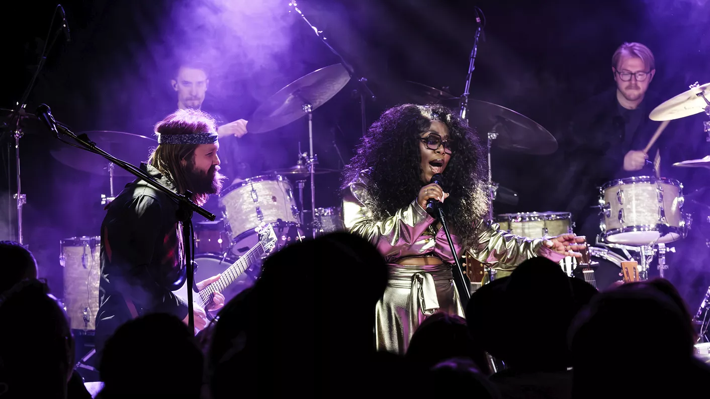 Berget Lewis & Leif de Leeuw Band