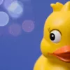 TheHappyDuck
