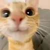 maxymaze