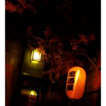 Le Collectionneur de Kyoto