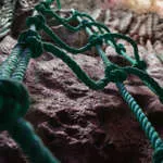 Sur les traces du Docteur Stone