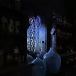 The Wizard's House