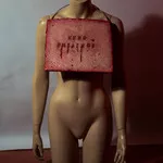 Schizofrenic Serial Killer