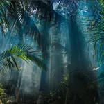 Rumble in the jungle