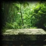 The Forgotten Wilderness