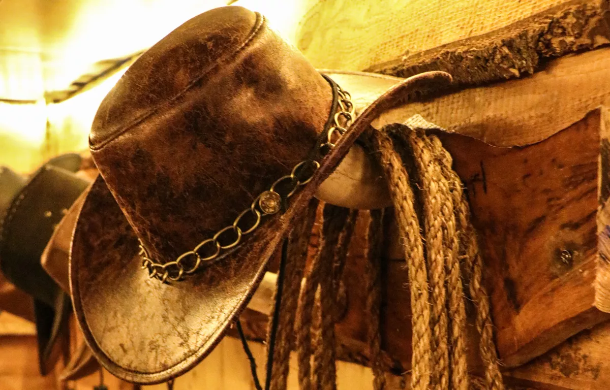Wild West, The Search For Gold