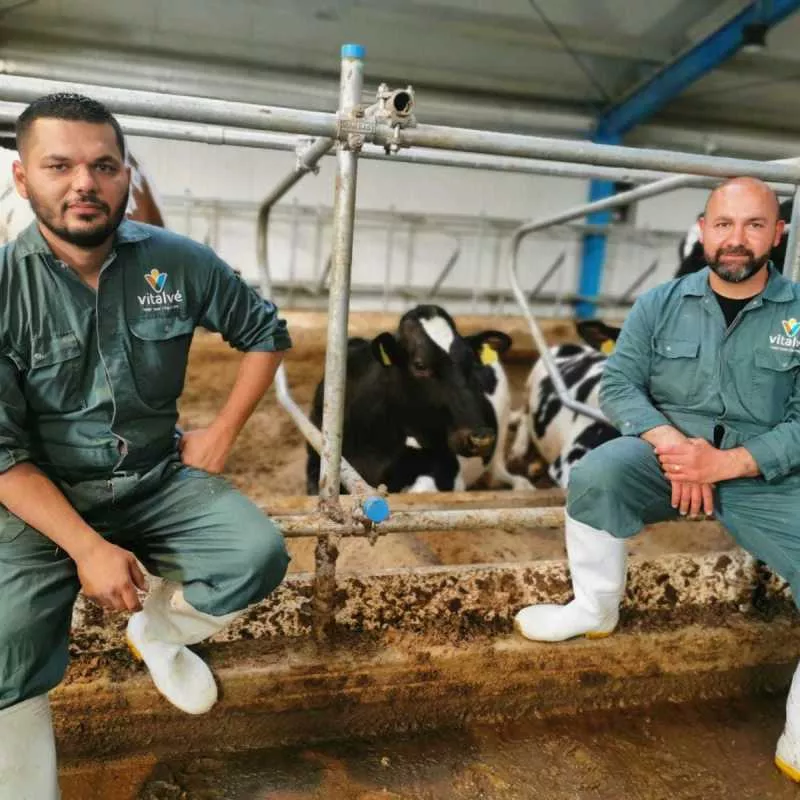 azhy ahmed hawkar rashid